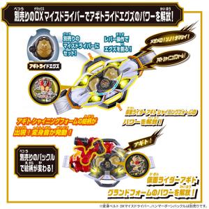 仮面ライダーマイス DXレジェンドライダーエグ...の詳細画像3
