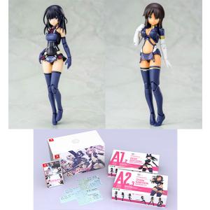 Nintendo Switch アリス ギア アイギスCS 〜コンチェルト オブ シミュラトリックス〜 限定版