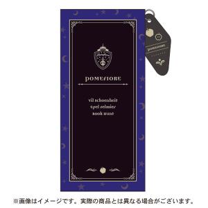 ツイステッドワンダーランド クリアマルチフラットペンケース ポムフィオーレ [クラックス]の商品画像