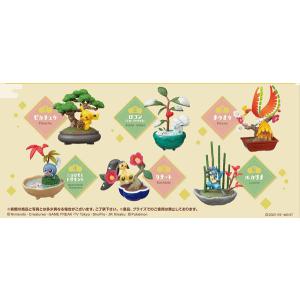 ポケットモンスター ぽけっとBONSAI 6個入りBOX