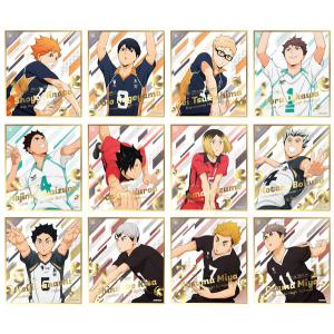 ハイキュー ビジュアル色紙コレクション5 12個入りBOX