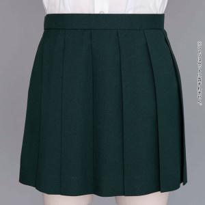 おちこぼれフルーツタルト 私立小金井中央高校制服冬服 スカート S