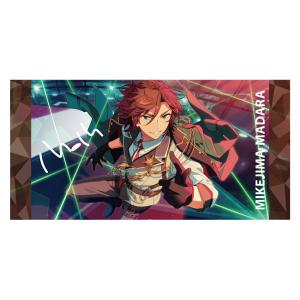 あんさんぶるスターズ ビジュアルバスタオルvol.3 25.三毛縞斑