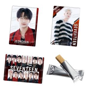 SVTツインウエハース From PLEDIS ENTERTAINMENT SEVENTEEN 20個入りBOX