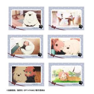 SPY×FAMILY 名場面缶バッジコレクション 6個入りBOX