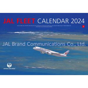 JAL 「FLEET」 (普通判) 2024年カレンダー [ハゴロモ]の商品画像