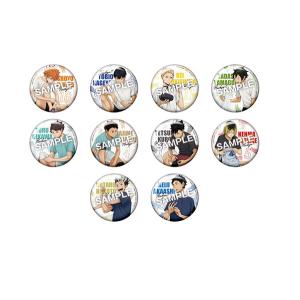 ハイキュー!! カラパレ 掃除 缶バッジ 1BOX=11パック入り : ユウセイ堂