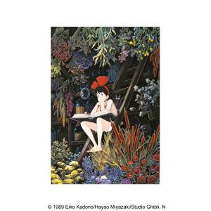 魔女の宅急便 ペーパーシャドーアート SA-02X 少女の時間[エンスカイ]《発売済・在庫品》