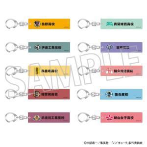 ハイキュー 繋ぐ グリッター 缶バッジ side B 全8種セット スタンド
