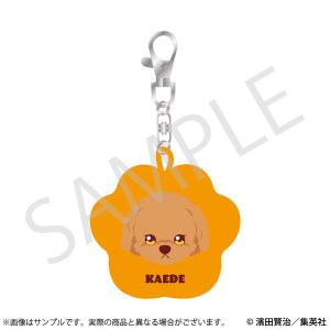 ポン太がヒトになりまして。 刺繍キーホルダー 05.かえで[empty]《発売済・在庫品》