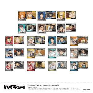 ハイキュー!! 思い出シャイニー缶バッジ 7種セット 【在庫品】 : F&S