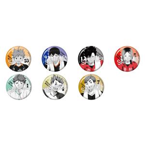 送料無料 ハイキュー!! カラパレ 掃除 缶バッジ 1BOX=11パック入り