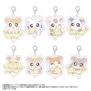 ぬいピン とっとこハム太郎 BOX 12個入り 【1BOXで全種揃います】 送料