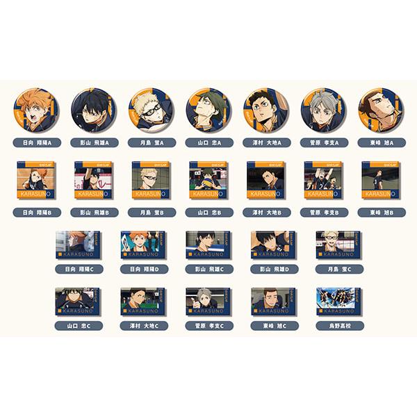 あれこれぷちCANバッジ 劇場版ハイキュー！！ ゴミ捨て場の決戦 Vol.4 烏野高校BOX 48個...