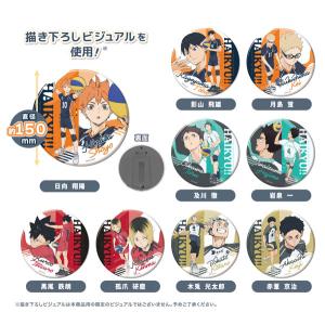 ハイキュー!! 思い出シャイニー缶バッジ 7種セット 【在庫品】 : F&S