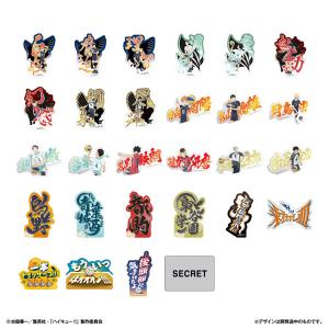 ハイキュー 振り向き シャイニー 缶バッジ 全10種セット タカラトミー