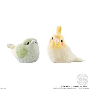 もふもふ てのりフレンズ3 12個入りBOX ...の詳細画像3