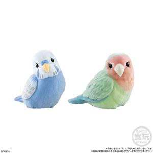 もふもふ てのりフレンズ3 12個入りBOX ...の詳細画像4