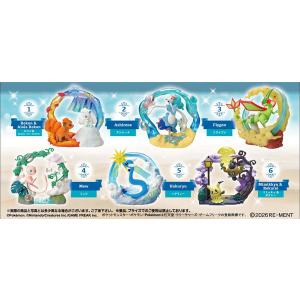 リーメント ポケモン Pokemon GEMSTONE COLLECTON 光り輝くしんぴの