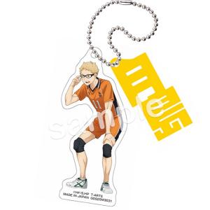 ホビージャパン（HobbyJAPAN） 【限定販売】ドルフィンウェーブ 立体