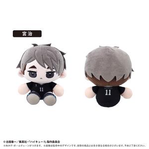 ハイキュー！！ ミニおすわりたぴぬい Vol.4 宮治[タピオカ]《発売済・在庫品》