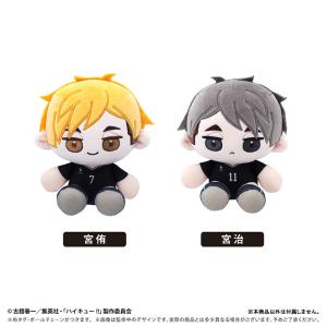 ハイキュー!! ミニおすわりたぴぬい Vol....の詳細画像1