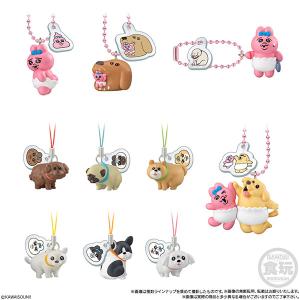 2026年2月】おぱんちゅうさぎのおすすめ人気ランキング - Yahoo