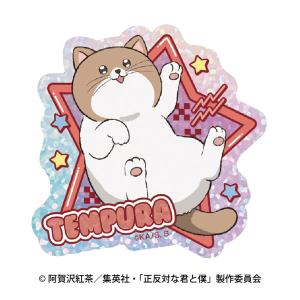 ソフィーのアトリエ　ビッグタオル　ソフィー 未開封ソフィーのアトリエ 10周年記念オンラインくじ D賞 マイクロ