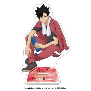 エンスカイ アニメ「ハイキュー！！」 アクリルスタンド5 2種セット(3