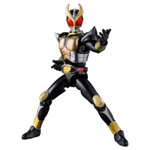 SO-DO CHRONICLE 仮面ライダーア...の詳細画像1