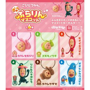 2026年7月予約 ガチ 【こびとづかん カクレモモジリコレクション 6種