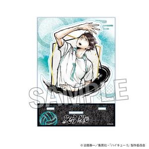 ホロライブ キャラバッジコレクション(缶バッジ) Travel season 星街