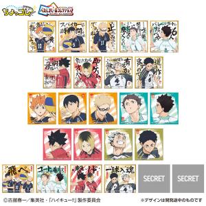 送料無料 ハイキュー!! ミドルブロッカー グリッター缶バッジ 1BOX=7