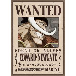 ジグソーパズル ワンピース 懸賞金50億4600万ベリー 208ピース