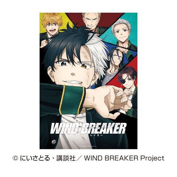 ジグソーパズル TVアニメ『WIND BREAKER』 俺が頂上だ 500ピース (500-593)...