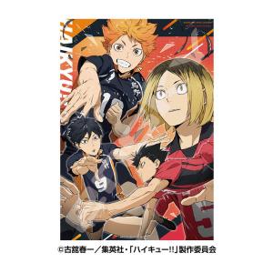ジグソーパズル アニメ 1000ピース 500ピース まとめ売り Amazon.co.jp: マッシュル-MASHLE- ジグソーパズル 500ピース