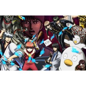 DVD 銀魂.ポロリ篇 5 完全生産限定版 [アニプレックス] - 最安値・価格