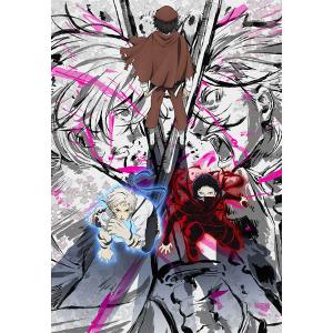 BD 文豪ストレイドッグス 第24巻 (Blu-ray Disc) [KADOKAWA] - 最安値