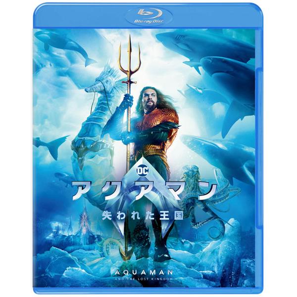 BD アクアマン/失われた王国 ブルーレイ＆DVDセット (Blu-ray Disc)[ワーナーブラ...