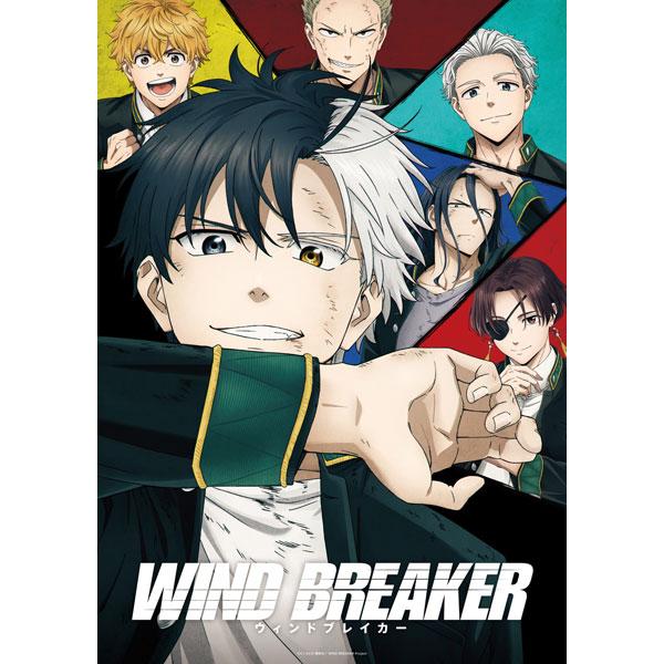DVD WIND BREAKER 6 完全生産限定版[アニプレックス]《１１月予約》