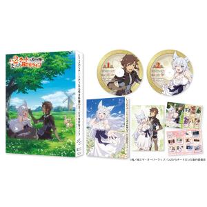 BD Lv2からチートだった元勇者候補のまったり異世界ライフ Blu-ray BOX[クロックワークス]【送料無料】《０７月予約》｜amiami