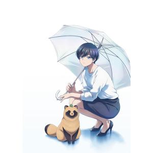 BD 雨と君と Blu-ray BOX 初回限定版 [ハピネット] - 最安値・価格比較