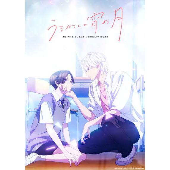 BD うるわしの宵の月 Blu-ray BOX[DMM pictures]《０９月予約》