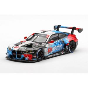 WORLD』UNBOXING CAR MINI MY デイトナ24時間 IMSA GT3 M4  1/64 GT MINI MINI 64 # GT3 MUSTANG FORD 1/64 GT ミニカー
