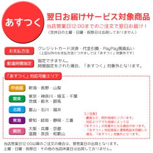 自転車ライト 在庫限り LED Knog ノグ...の詳細画像1