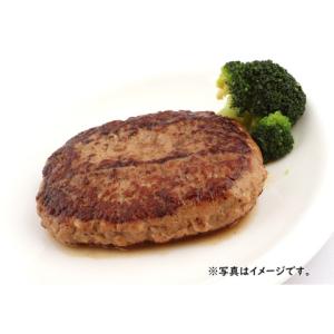 ジョイグルメ ハンバーグヴィアンドN160 160gの詳細画像1