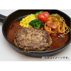 ジョイグルメ ハンバーグロッシュ(120) 120gの詳細画像2