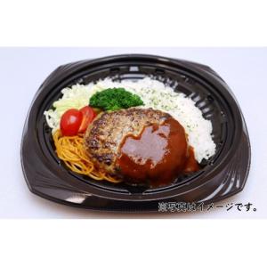 ジョイグルメ ハンバーグロッシュ(100) 100gの詳細画像1