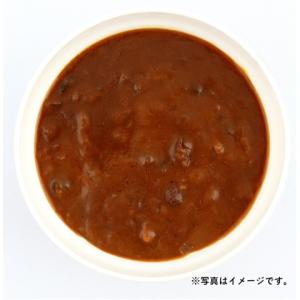 ニチレイ RU欧風ビーフカレー 200g×5の詳細画像2