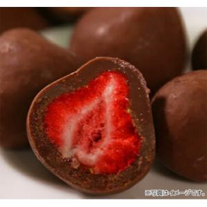 ニッスイ チョコストロベリー 110gの詳細画像1